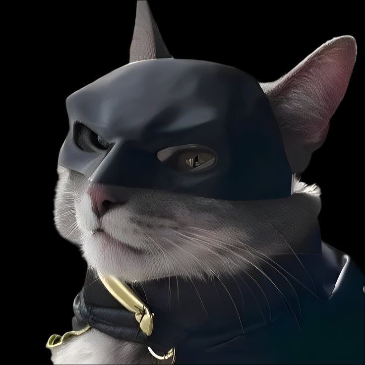 Batcat Mask- Meow Knight Rises - MangaNova