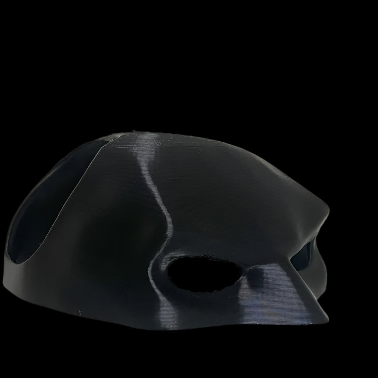 Batcat Mask- Meow Knight Rises - MangaNova
