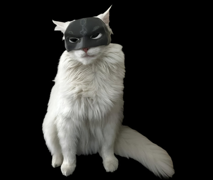 Batcat Mask- Meow Knight Rises - MangaNova