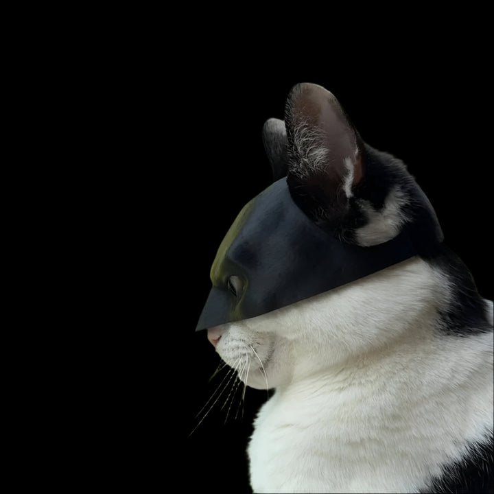 Batcat Mask- Meow Knight Rises - MangaNova