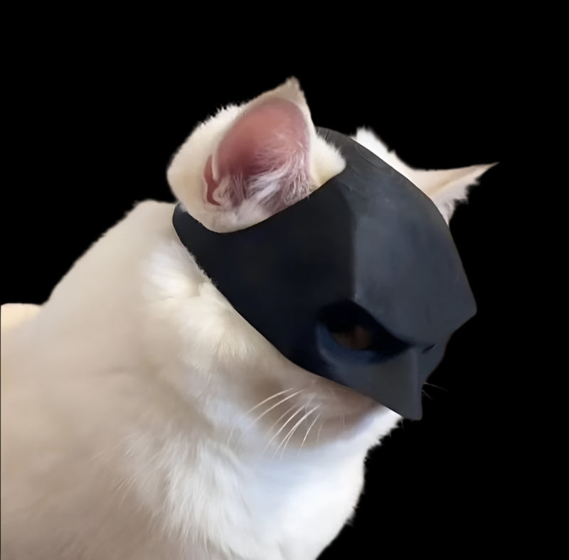 Batcat Mask- Meow Knight Rises - MangaNova